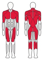 muscle-tb002-70-blochnaya-ramka-mnogofunkcionalnaya-70-kg